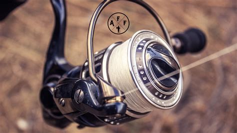 fishing reels|Best Fishing Reels of 2025, Tested and Reviewed .